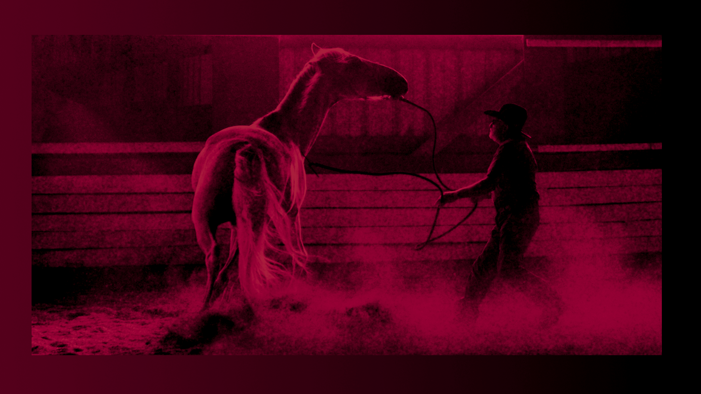 Horse Soring Exposed in Award-Winning Film