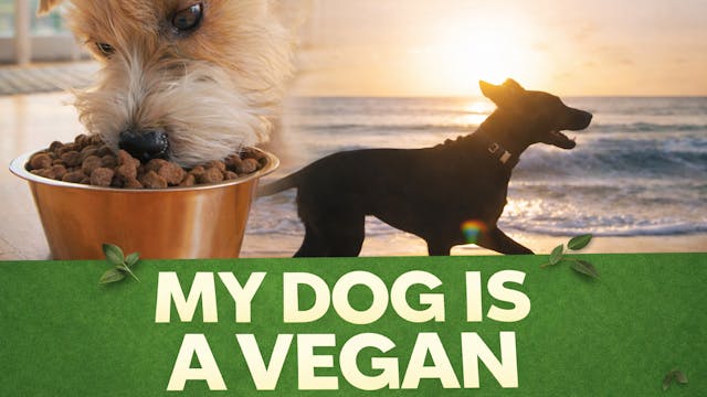 My Dog Is A Vegan