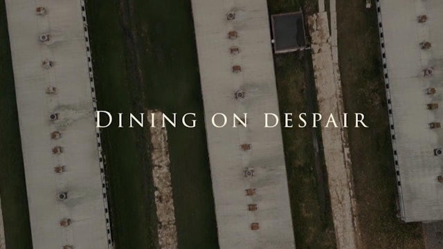 Dining on Despair