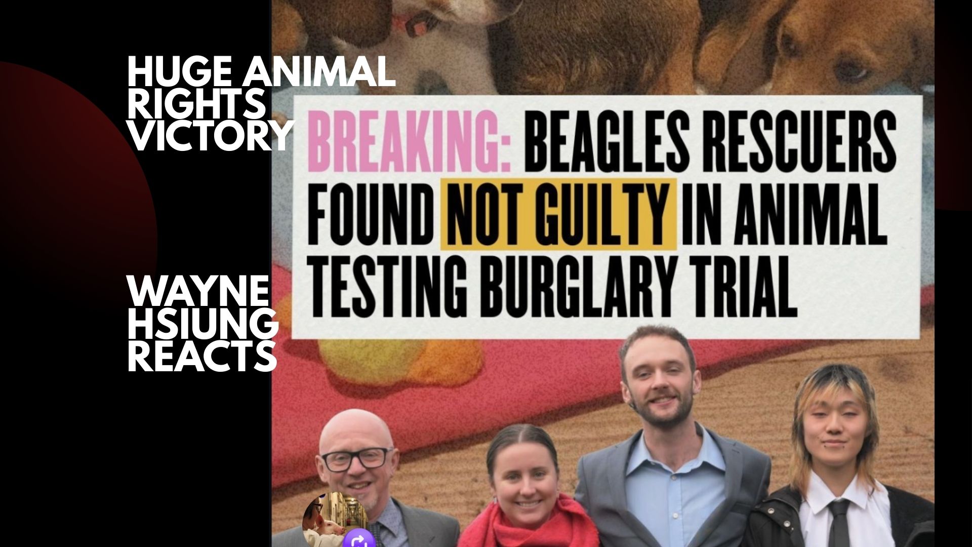 NOT GUILTY: UK Beagle Trial