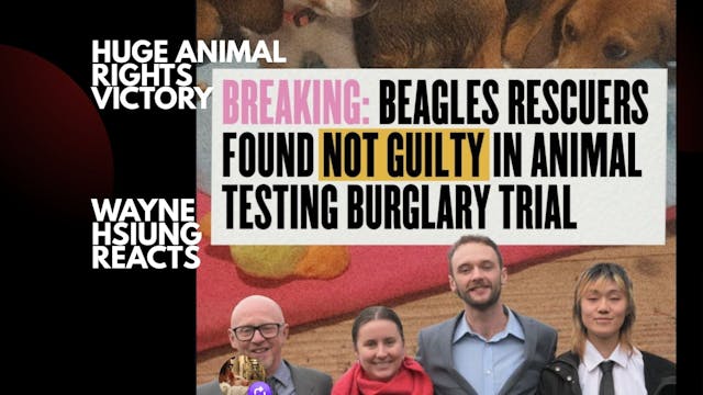 NOT GUILTY: UK Beagle Trial