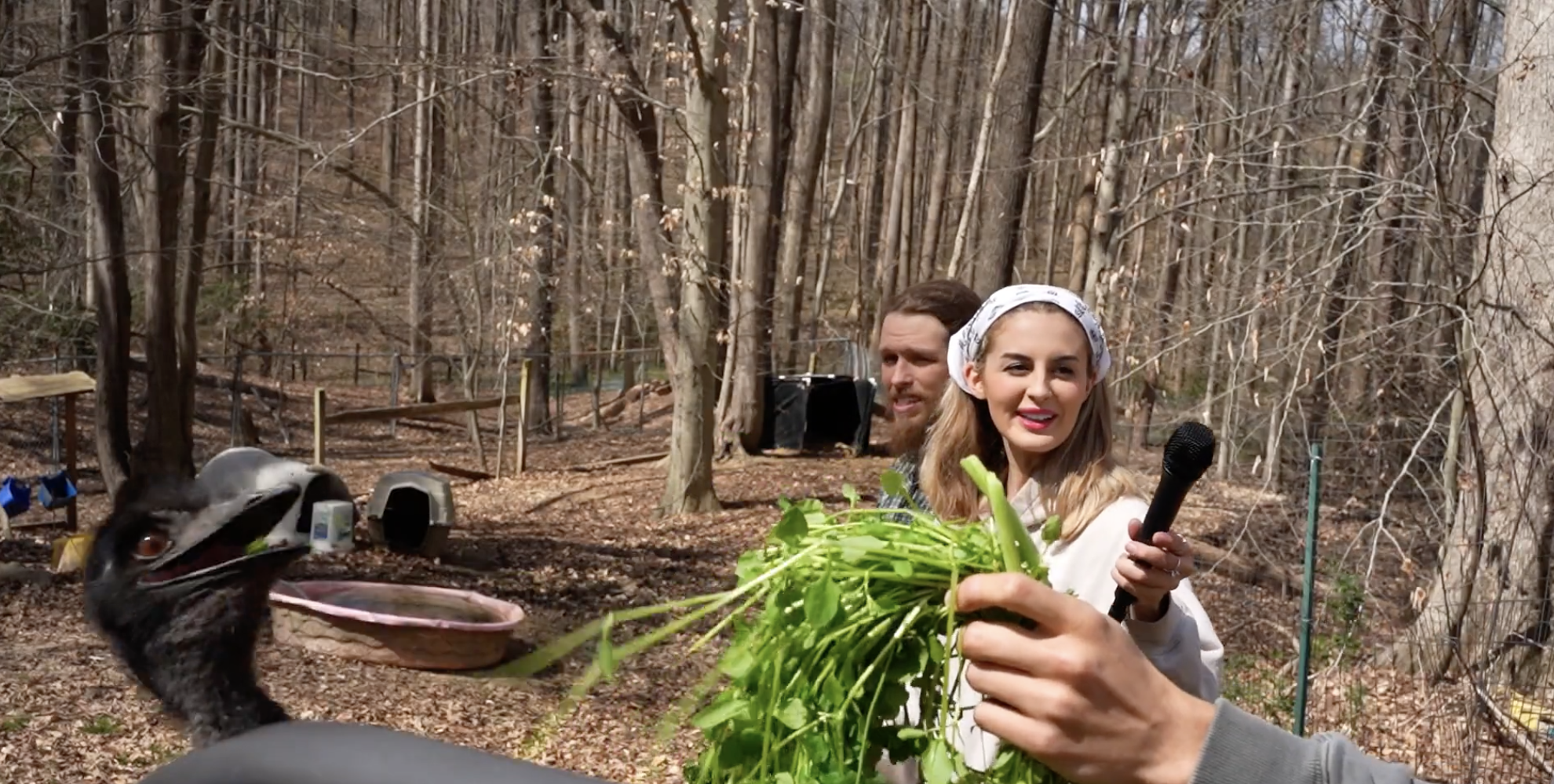 Love Is In The Air At Flip Flops Animal Sanctuary (Literally)