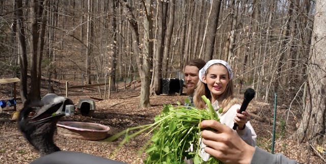 Love Is In The Air At Flip Flops Anim...