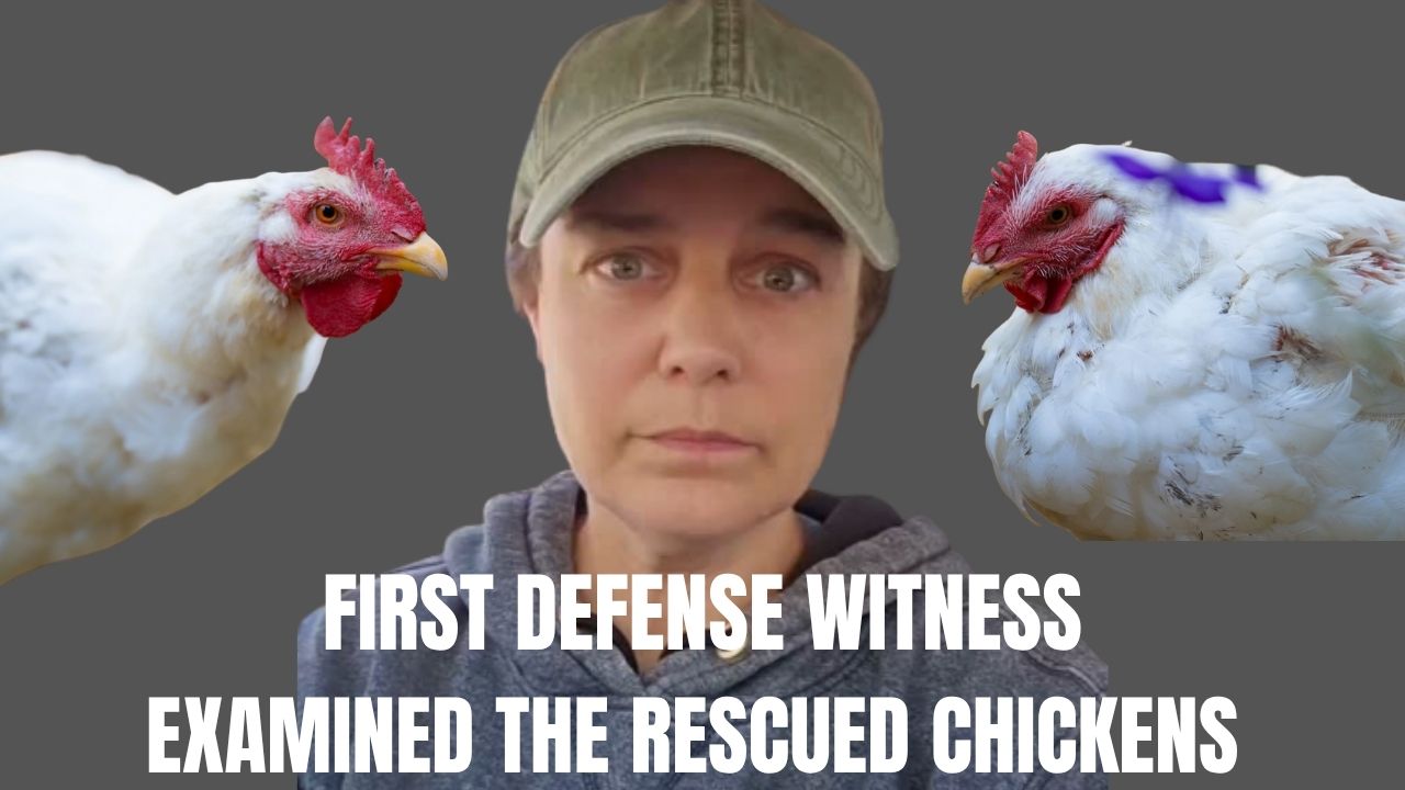 Battle over Defense Witness