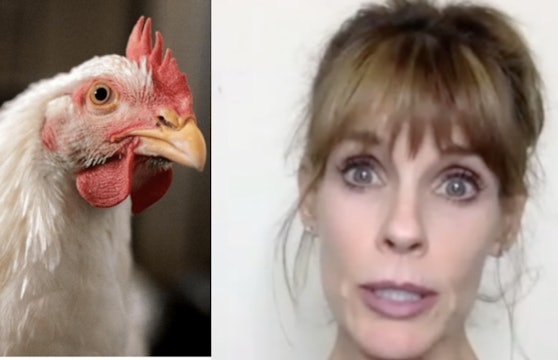 DAY 3 - Baywatch Actress on Trial for Chicken Rescue