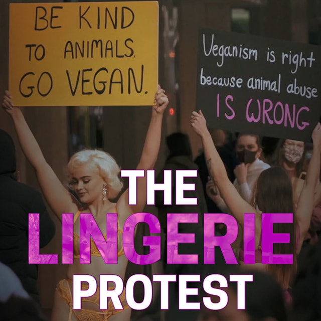 The Lingerie Protest