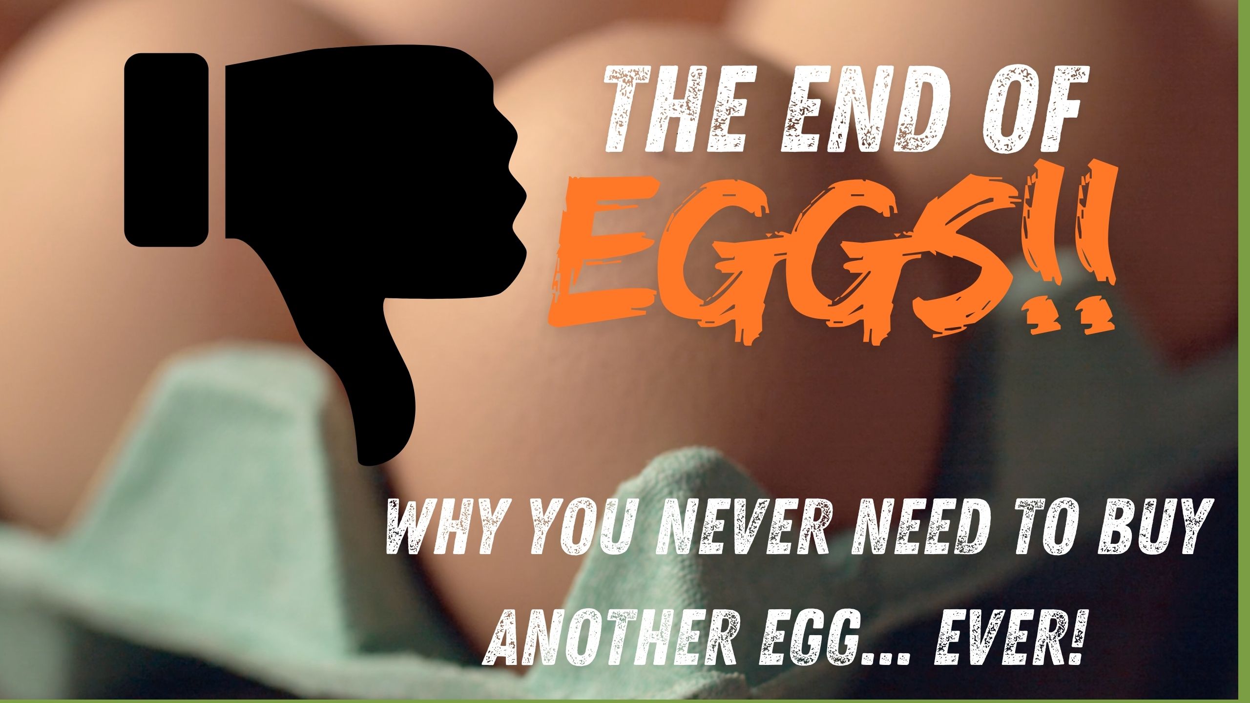 The End of Eggs! The Solution to High Egg Prices!