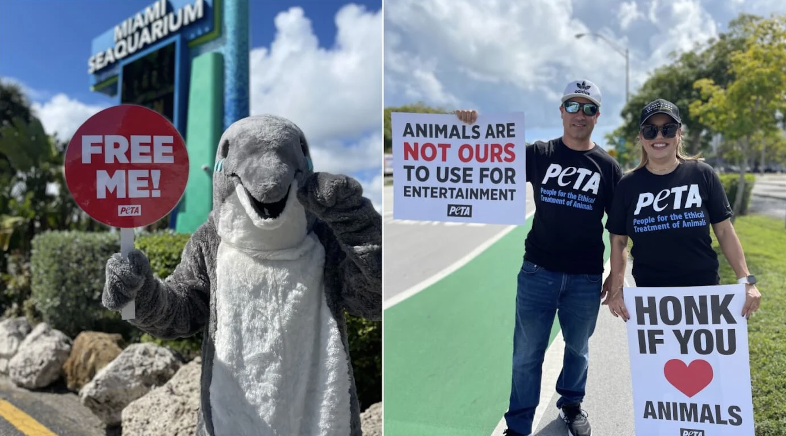 VICTORY: Miami Seaquarium Loses Lease! 