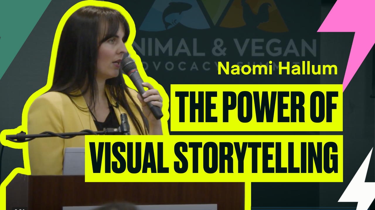 Naomi Hallum Has A Story for You! 