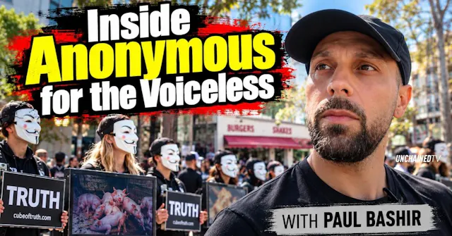 Inside Anonymous for the Voiceless