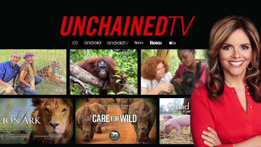 Why The World Needs UnchainedTV!