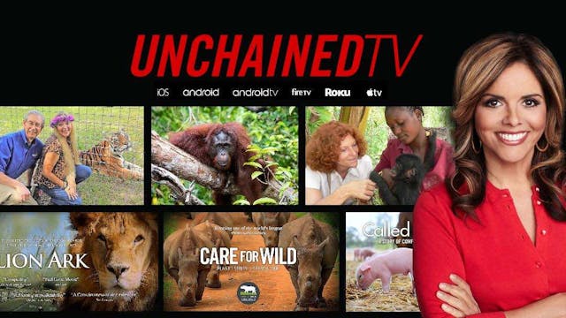 Why The World Needs UnchainedTV!