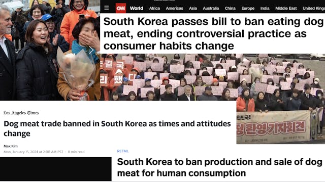 South Korea Bans Dog Meat!