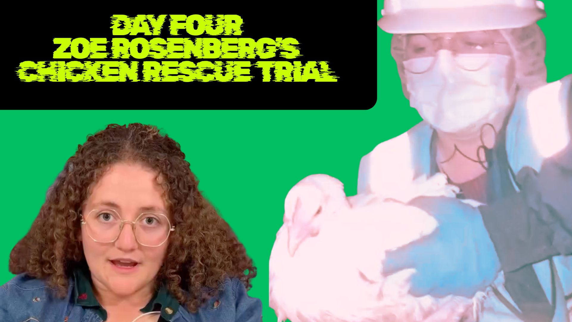 Day 4: Chicken Rescue Trial