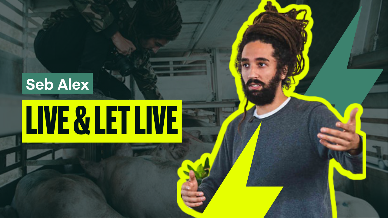 Seb Alex: Do You Believe in Live & Let Live?