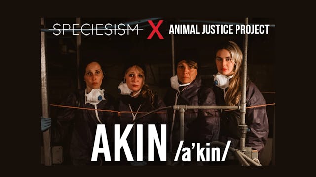 Akin - What If This Were YOU?