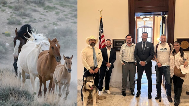 Veterans Rally Legislators to Save Our Wild Horses & Burros!
