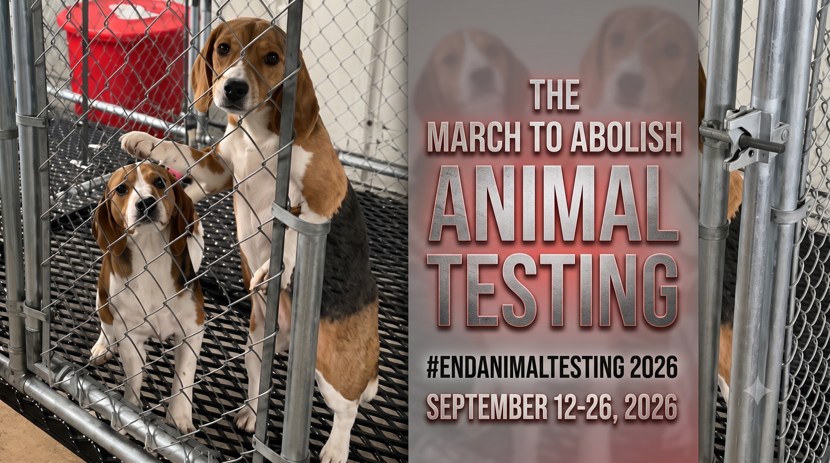 The March to End Animal Testing!