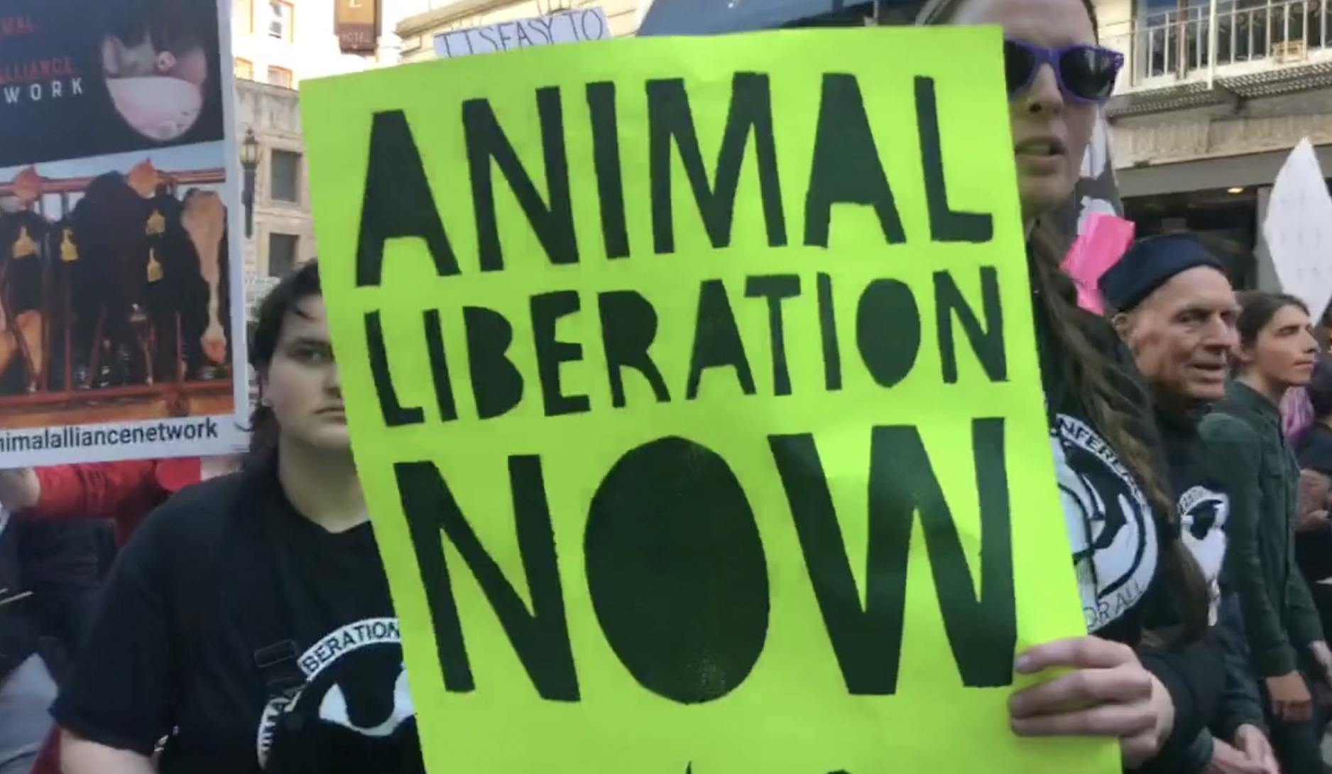 Moments in Animal Rights History