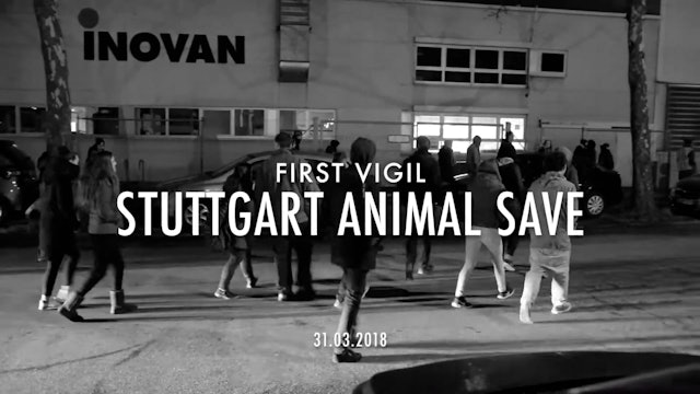 Stuttgart Animal Save