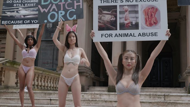 New Lingerie Protest Hits Sydney!