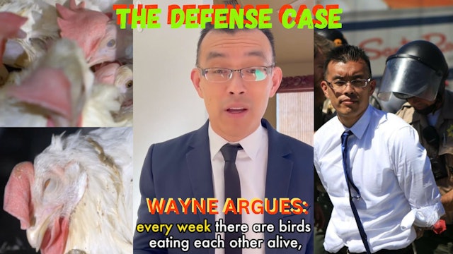 Explosive Testimony in Animal Rights Trial