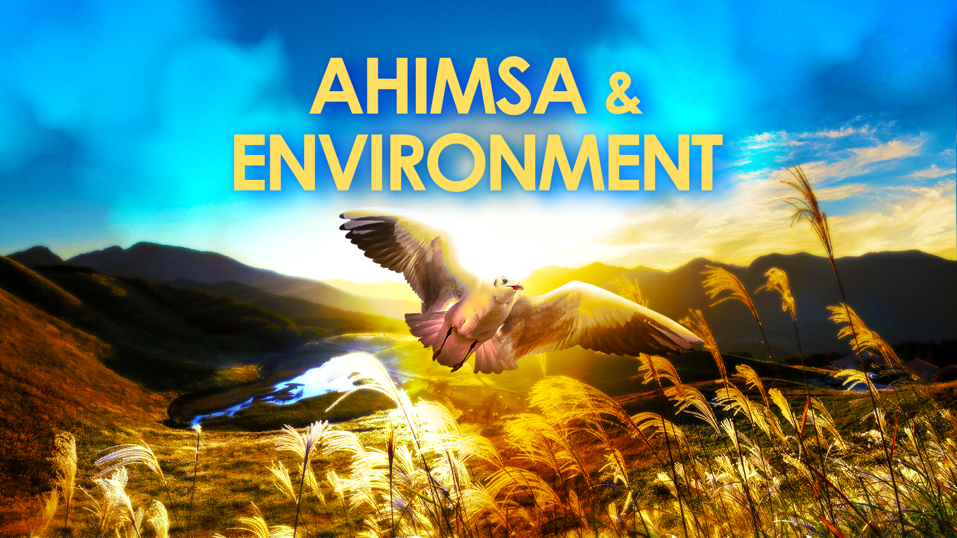 Ahimsa & Environment:  Making Peace with Nature
