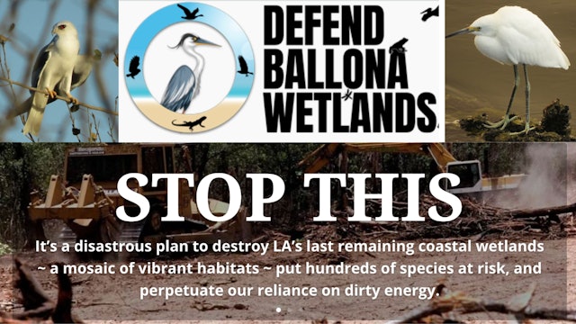 Help Stop the Bulldozing of LA's Wildlife at Ballona Wetlands! 