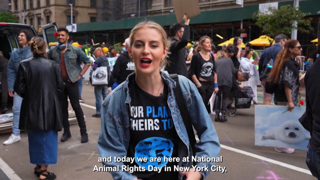 Jamie Hits the Streets for National Animal Rights Day 