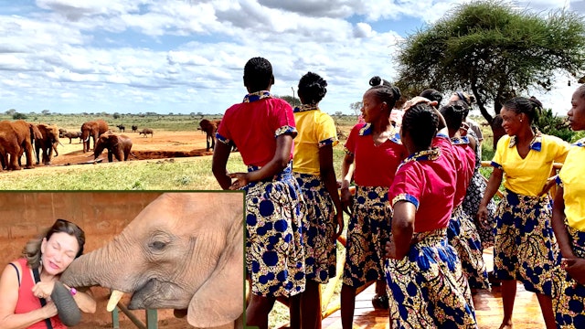 Elephant Matriarch Project Empowers Young Women!