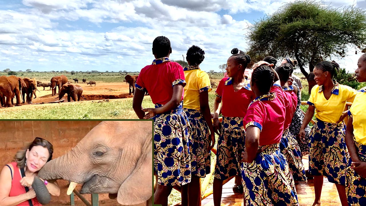 Elephant Matriarch Project Empowers Young Women! - UnchainedTV