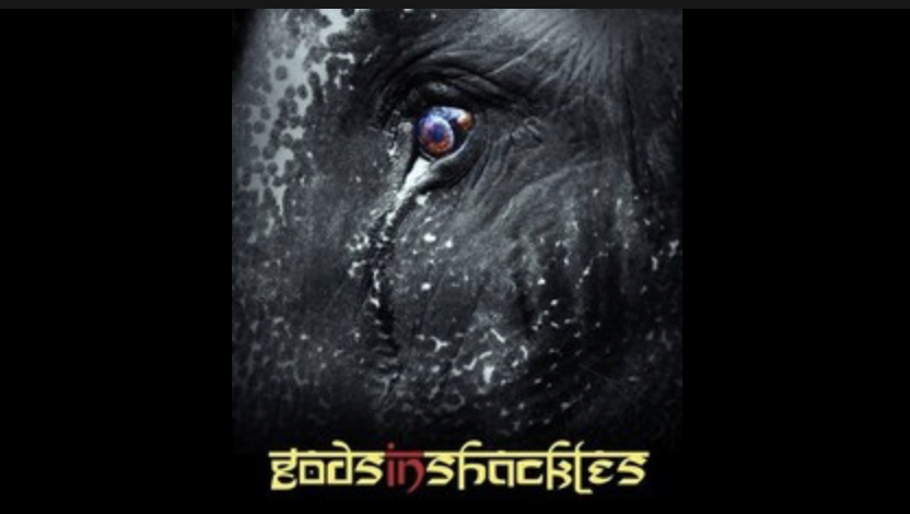 Gods In Shackles Trailer