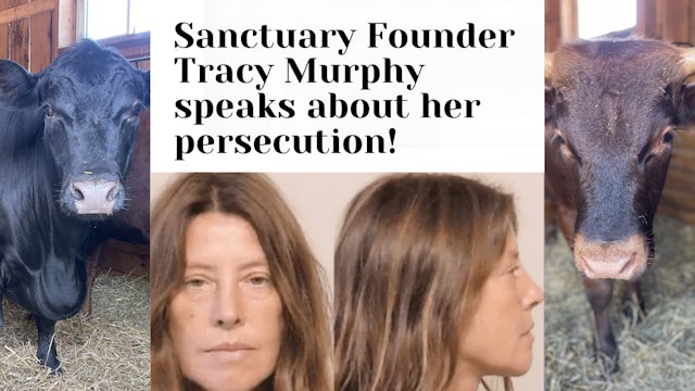 The Persecution of Tracy Murphy!