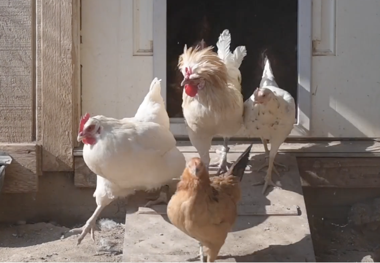 What It Takes to Care! 