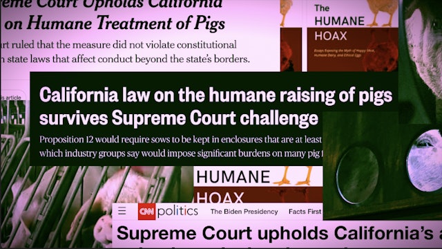 Will Supreme Court Pig Ruling Add to Humanewashing? 