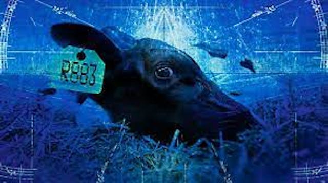 The Ghosts in Our Machine