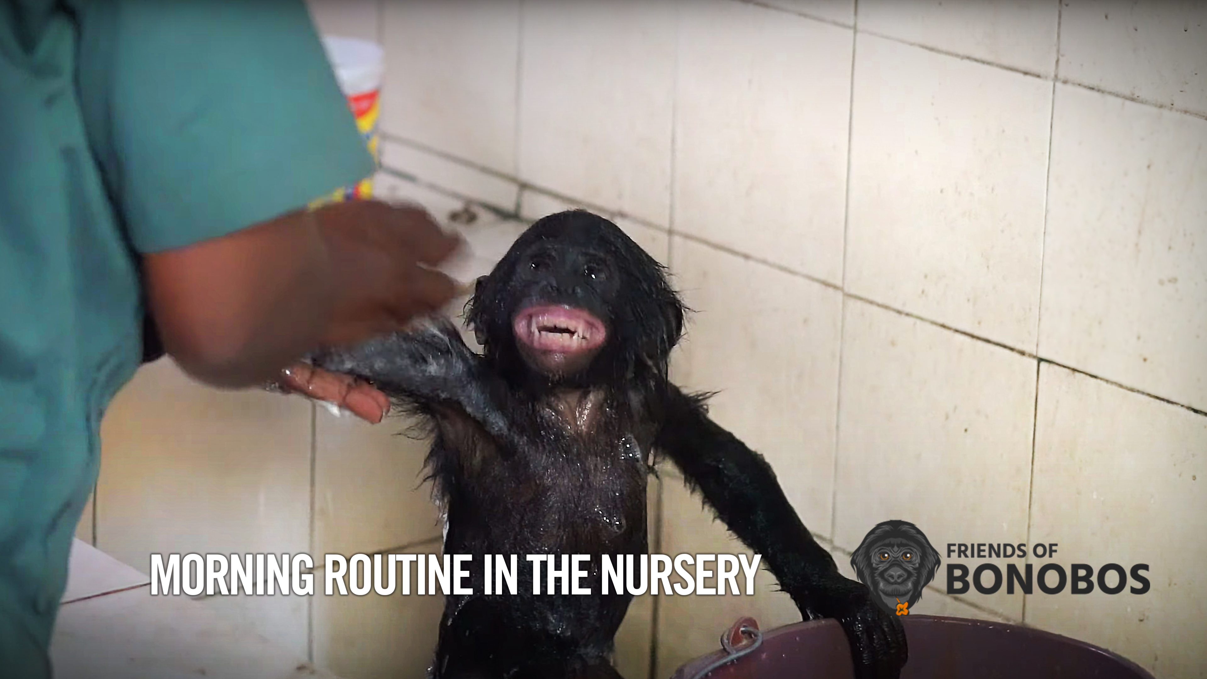 Morning Routine in the Nursery