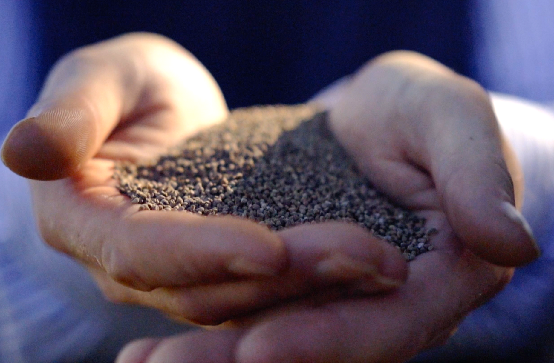 Ahiflower Omega Supplement