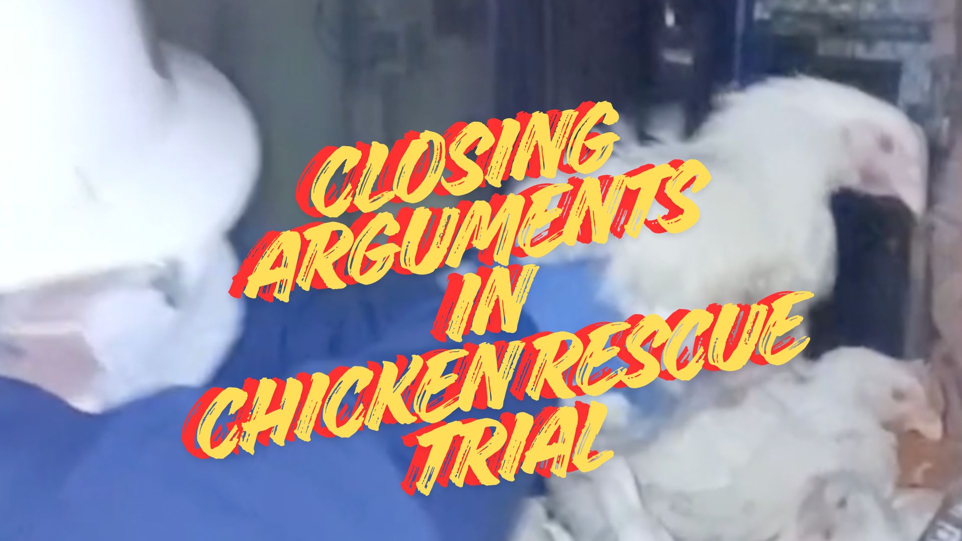 The Jury Gets the Case!