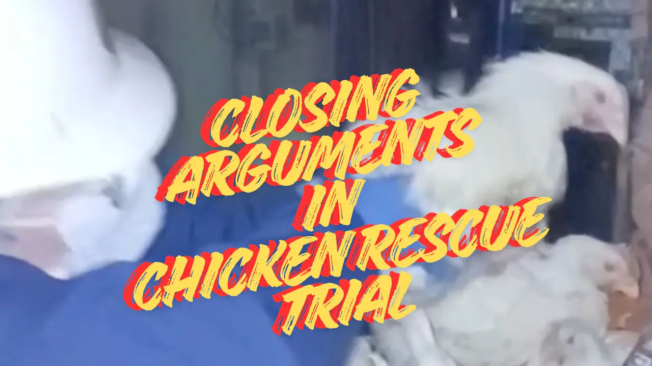 the-jury-gets-the-case-prosecuted-for-rescuing-chickens-unchainedtv