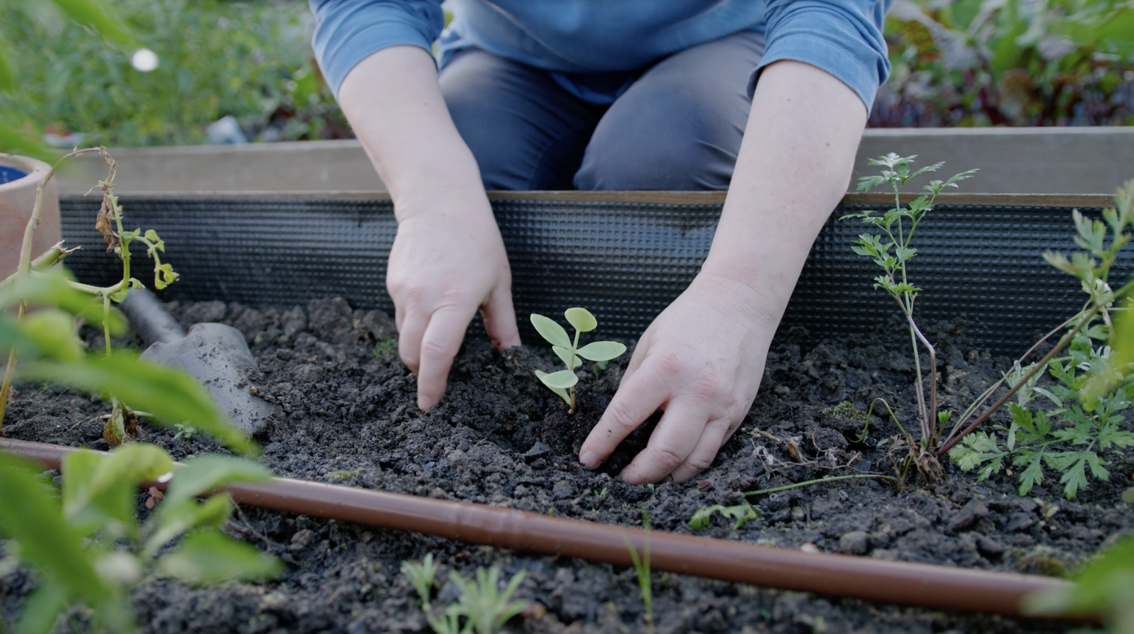 For a Long Life... Garden! Seriously! 