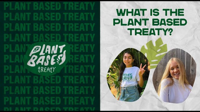 Plant Based Treaty: Introduction