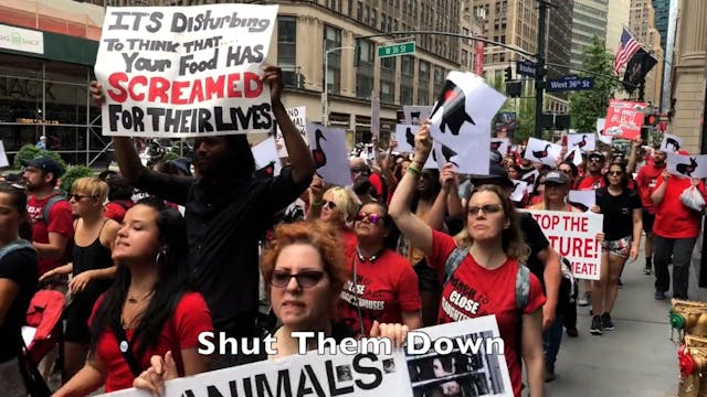 A Demand: Shutdown All Slaughterhouses