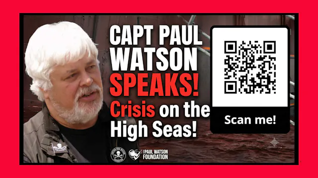 Captain Paul Watson Speaks!