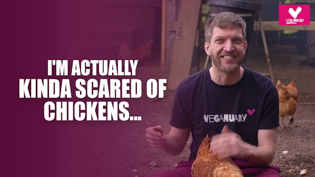I'm actually kinda scared of chickens...