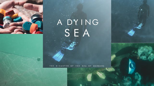 A DYING SEA - The Disaster of the Sea...