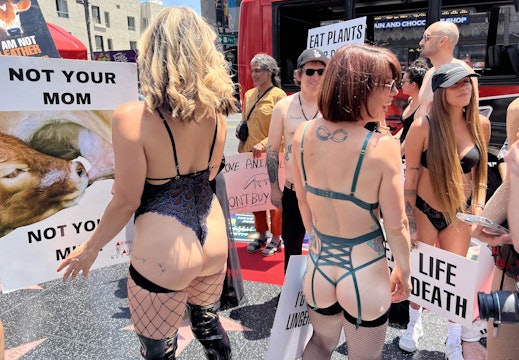 Lingerie Protests Hit Hollywood