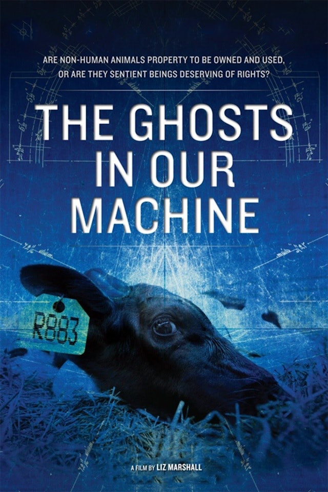 The Ghosts in Our Machine