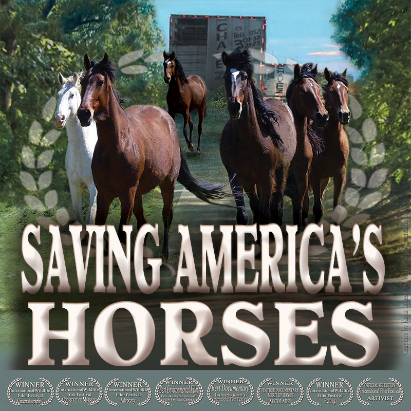 Saving America's Horses