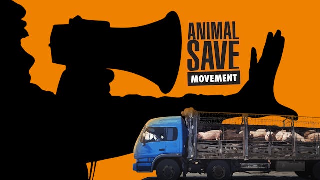 The Save Movement